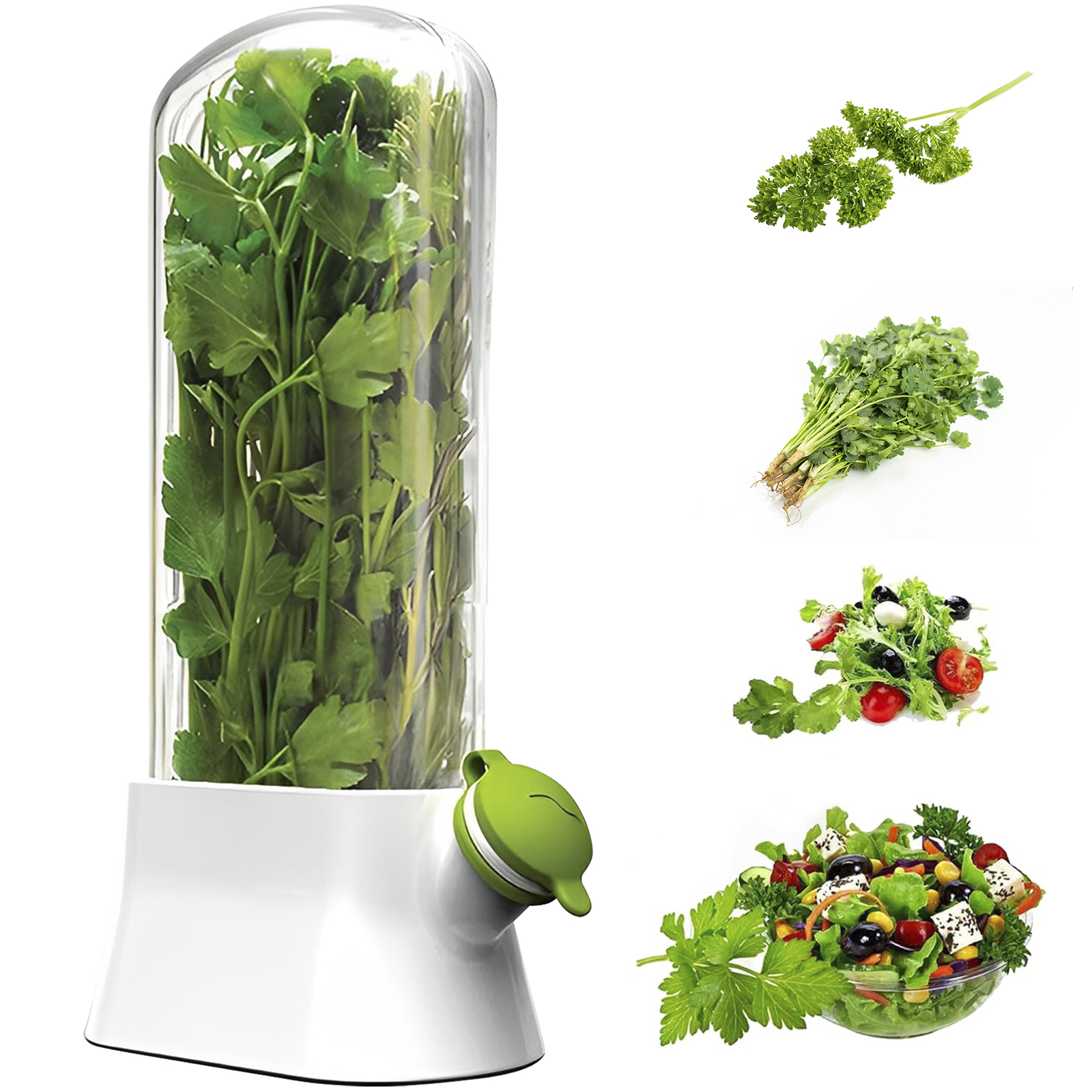 4/1PC Herb Freshkeeping Box Fr - Herb Keeper Bottle avaliação e preço