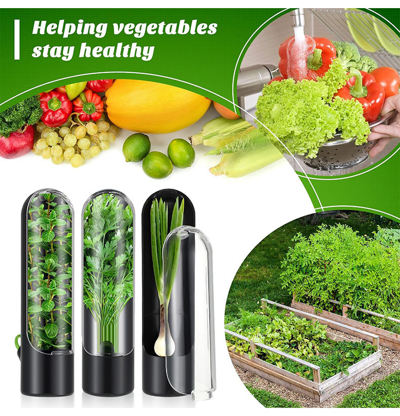 Vegetables Fresh Preservation  - Herb Keeper Bottle avaliação e preço
